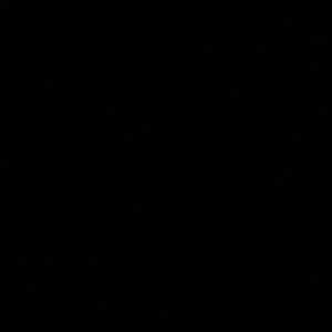 Meet your Posher, Jailen